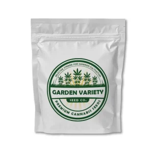 West Coast Golden Haze