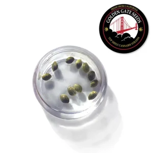 Grapes N Cream - Feminized Seeds