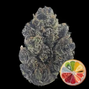 White Gushers THCA Flower