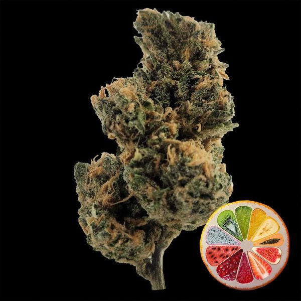 Blue Dream THCA Flower