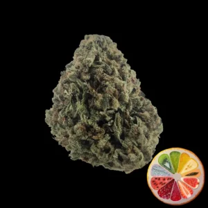 Banana Punch THCA Flower